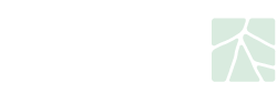 ریشه